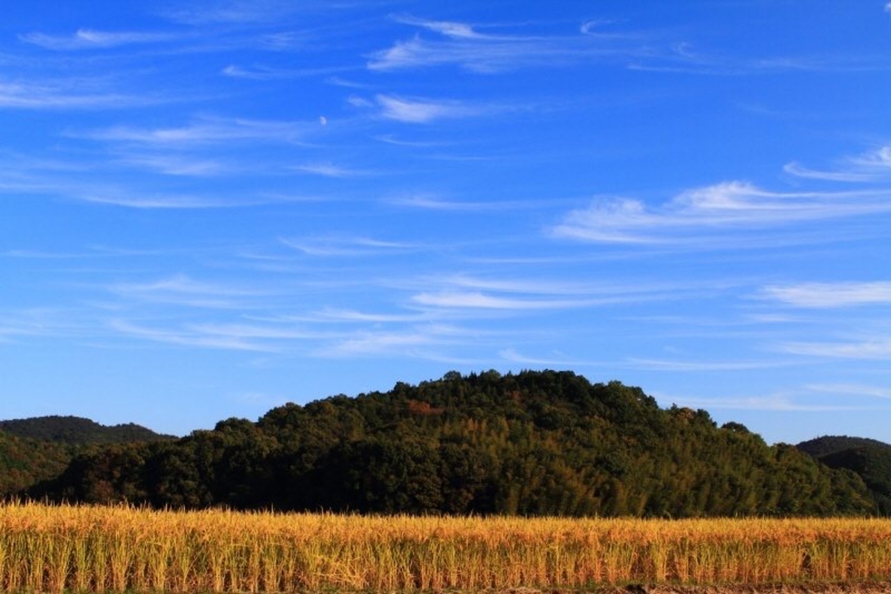 風と結婚とズボンの話