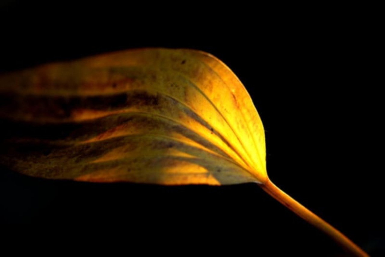 これって相談じゃないよね!?