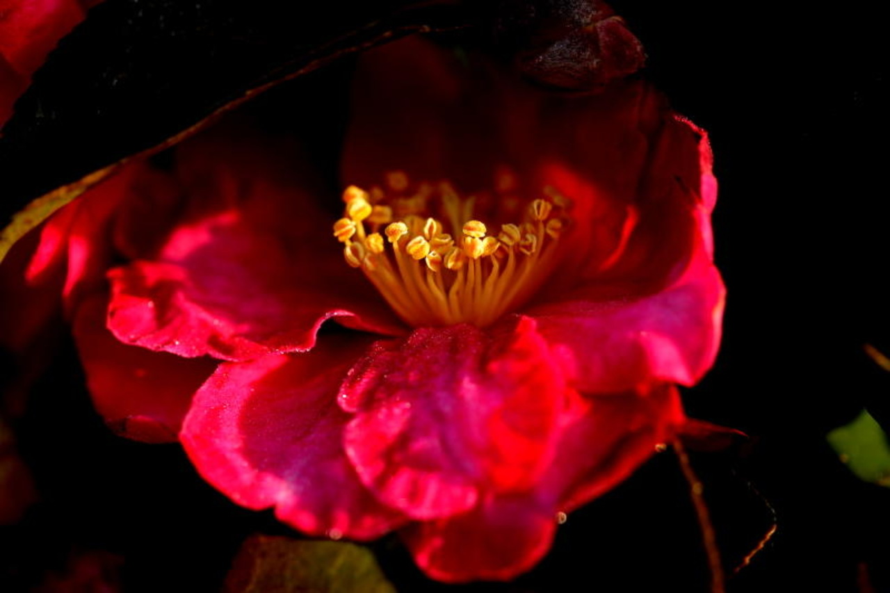 チャージせよ、これが私のエネルギー