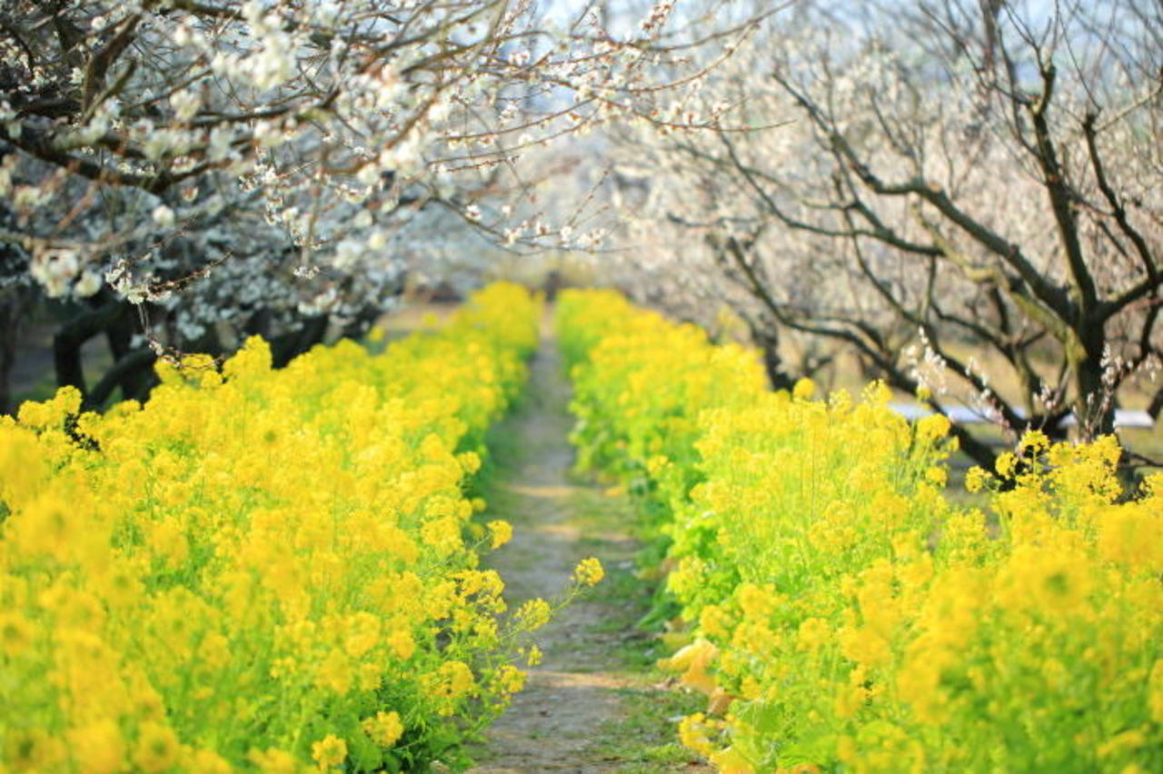 おじさんだけど...今がいい