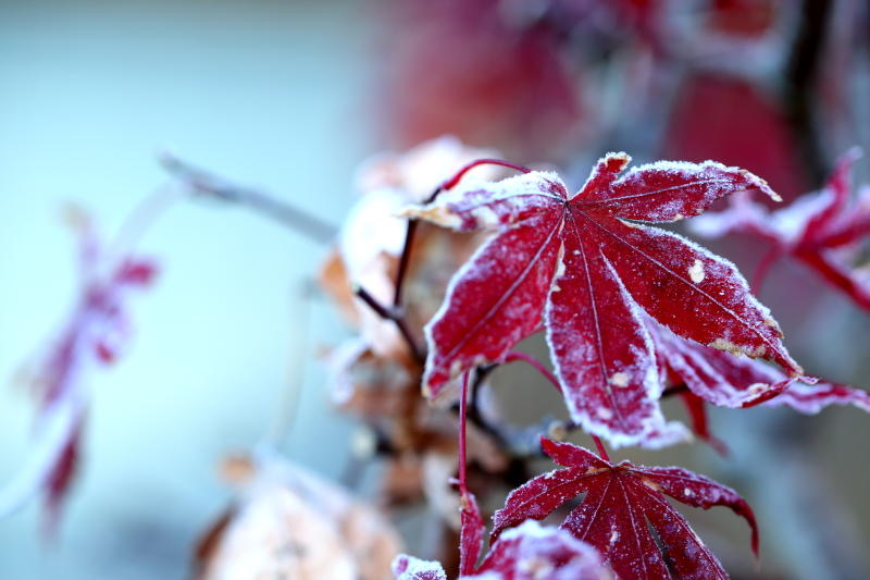 これぞプロフェッショナル