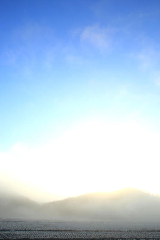 どうも竹藪ポニーです