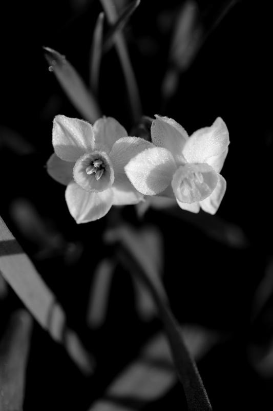 まずは話を聞こうじゃないか